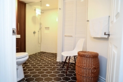 Toronto Condo Renovation Bathroom with hex tiles